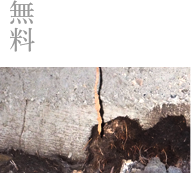 無料床下調査