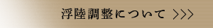 浮陸調整について