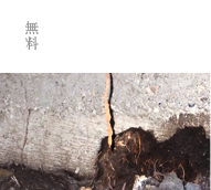 無料床下調査